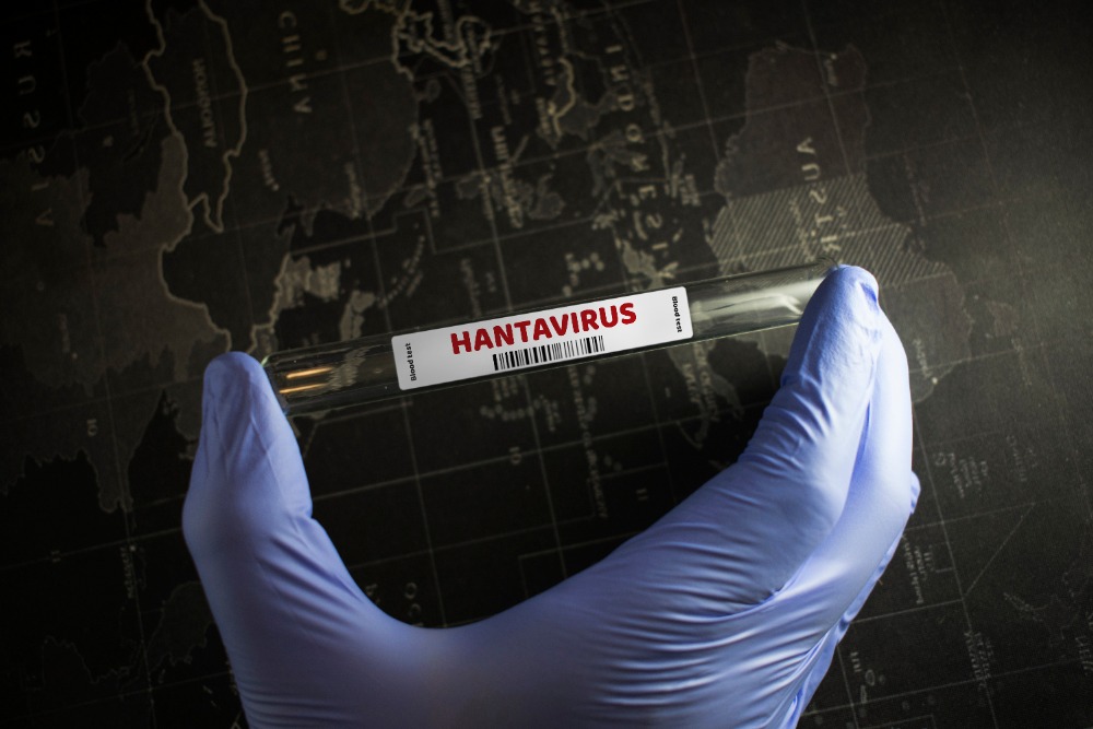 Hantavirus adalah
