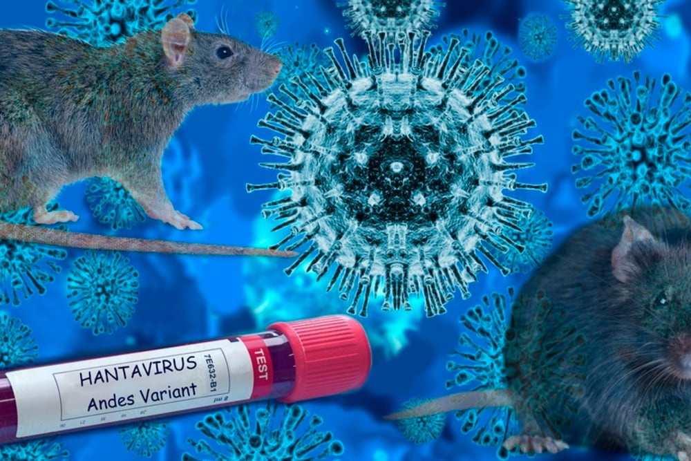 virus andes