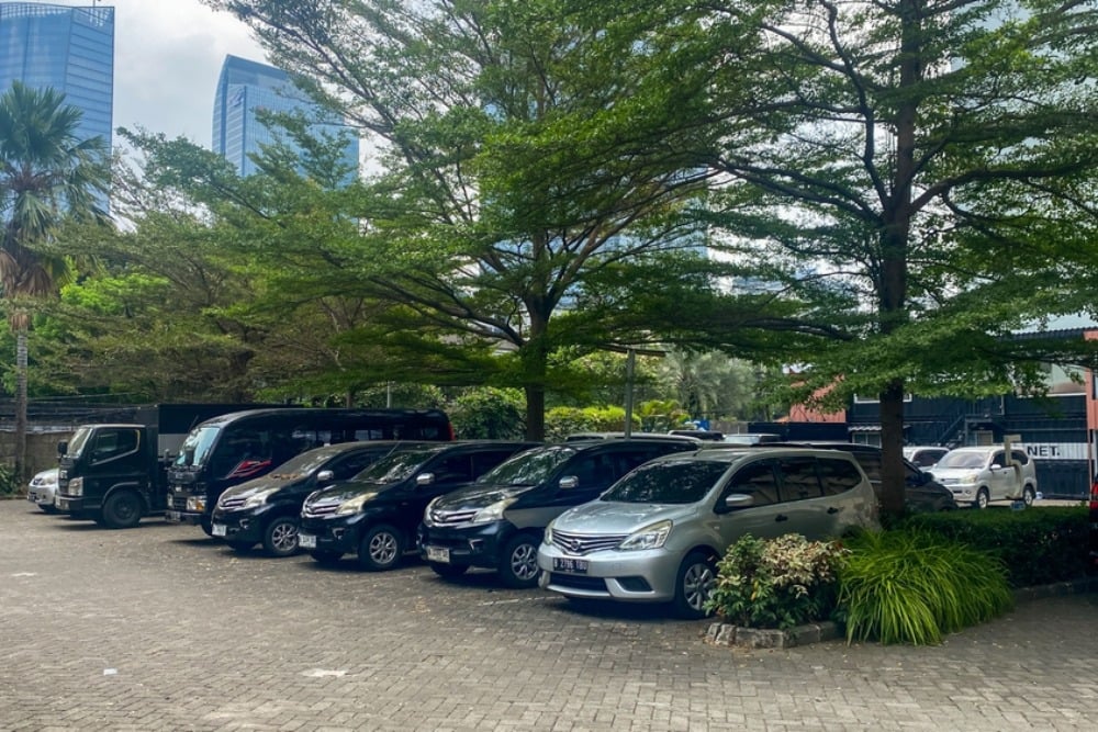 Waspadai Pohon Tumbang