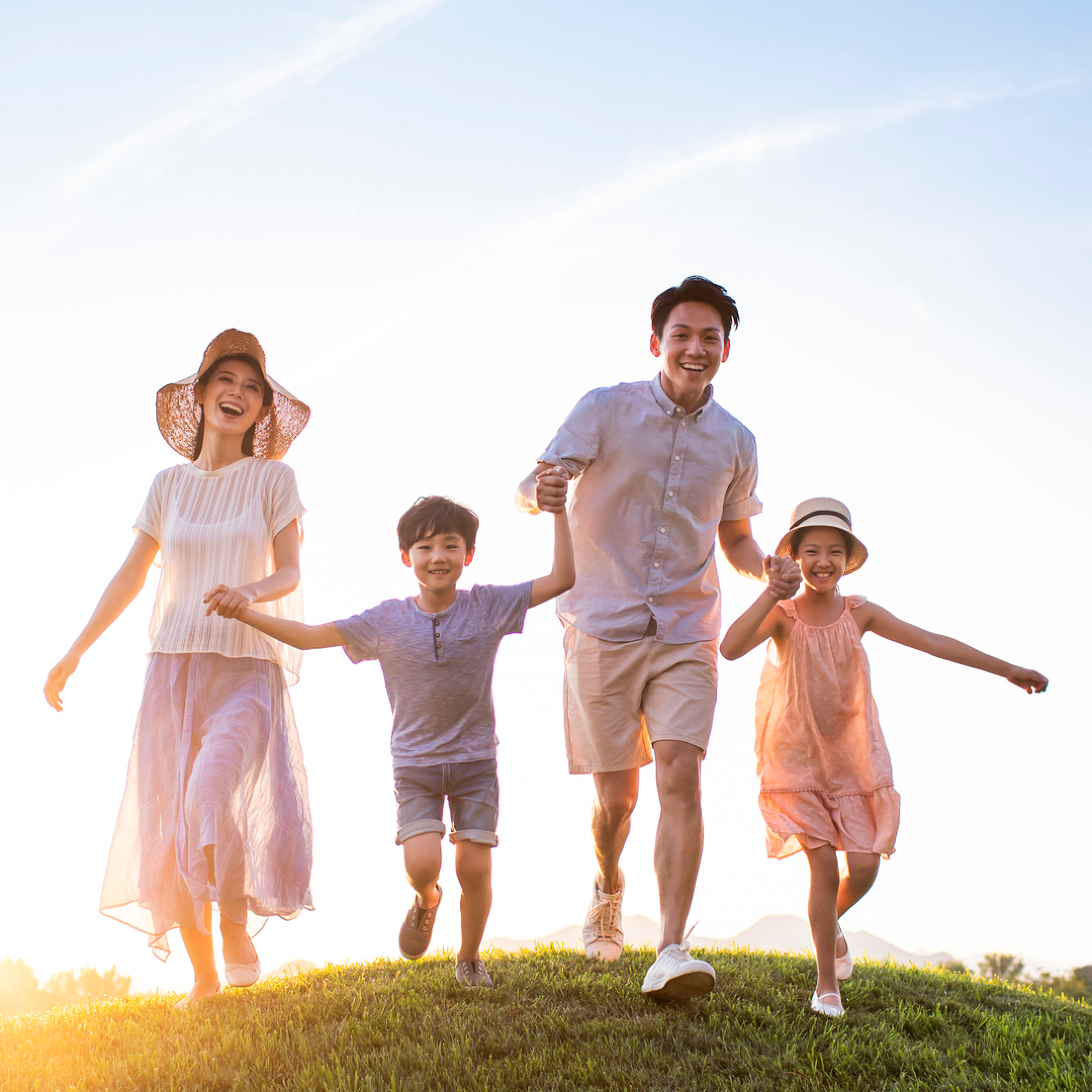 useful description of image if informative and not decoration only.