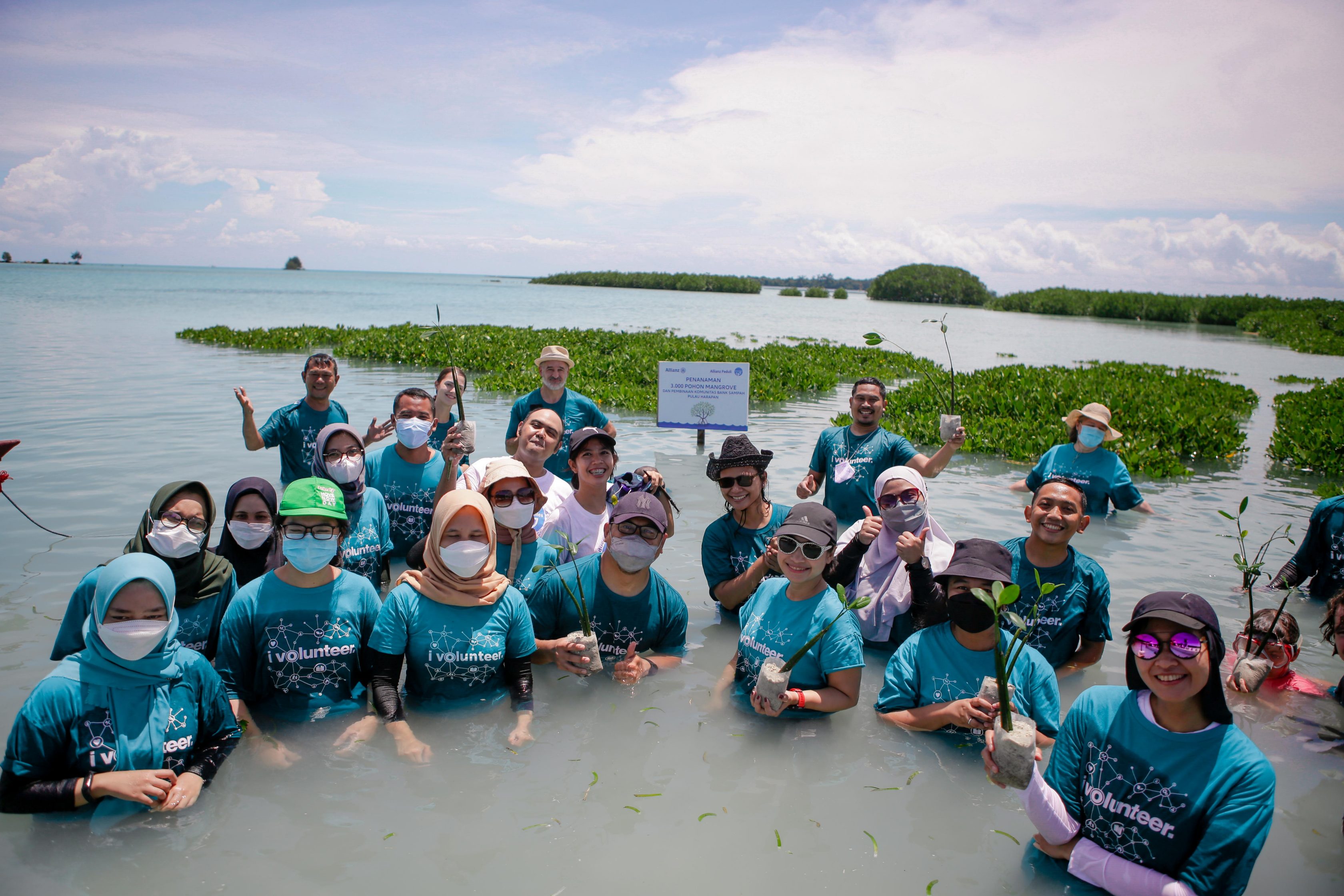 Kegiatan menanam pohon mangrove