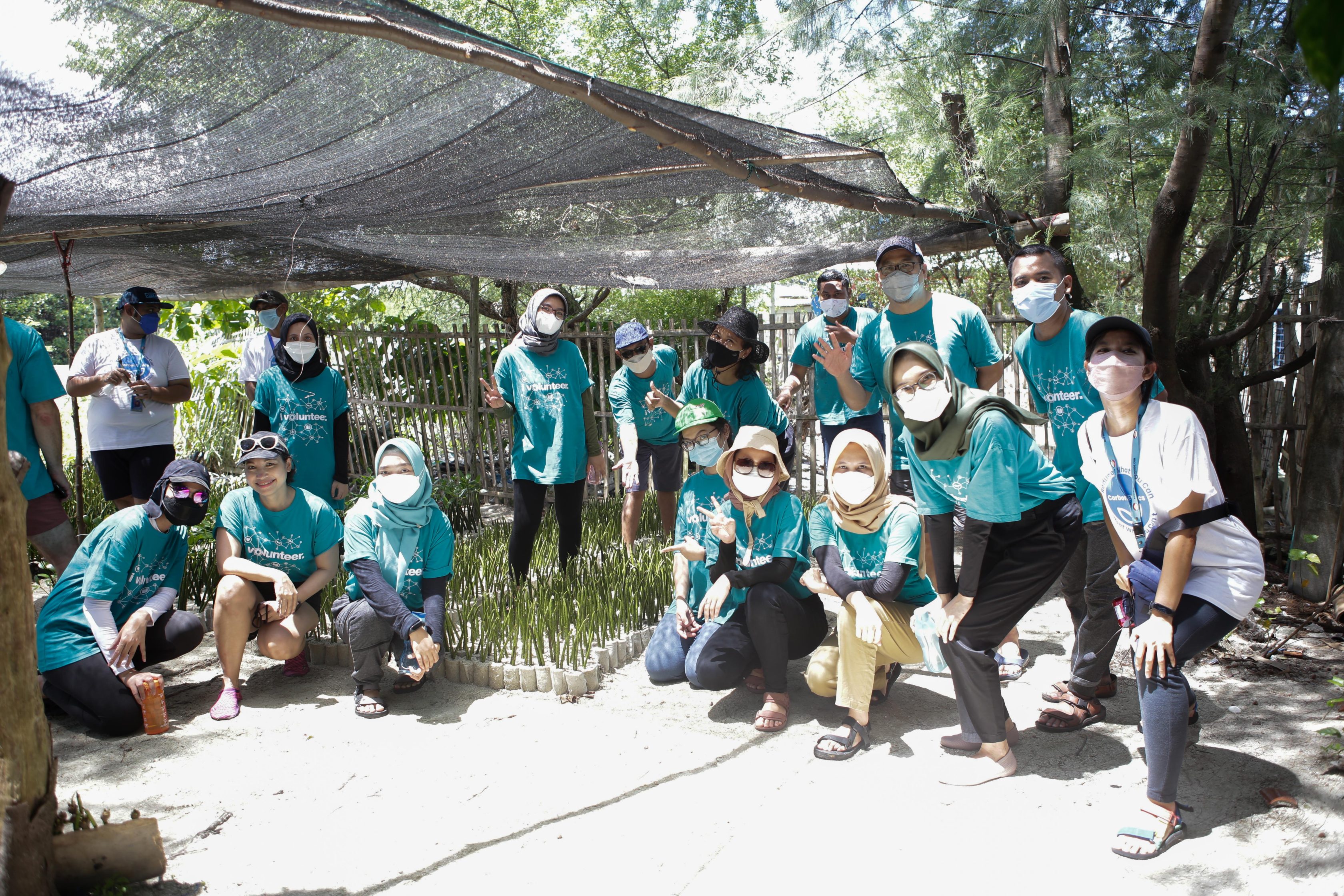 Kegiatan menanam pohon mangrove