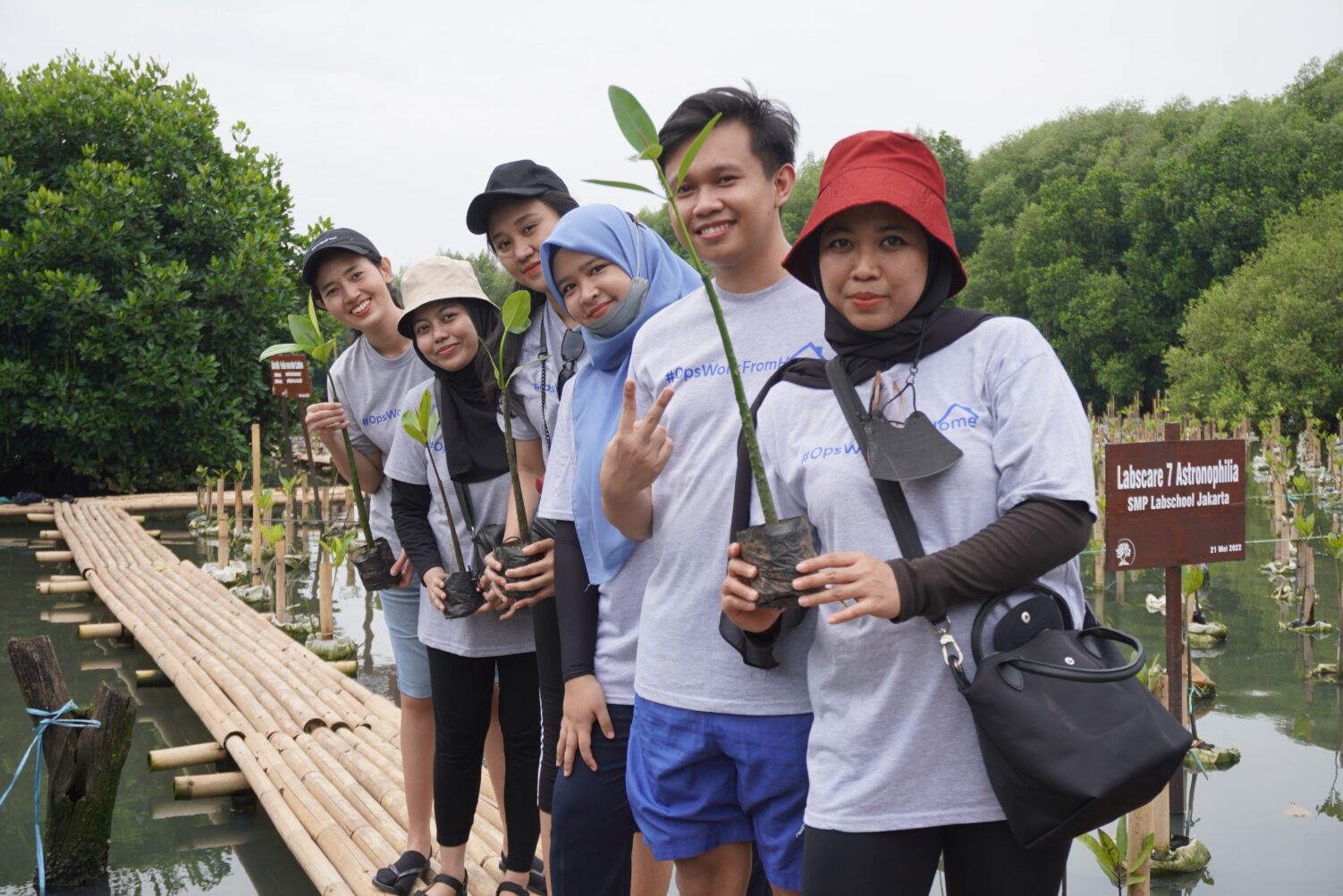 Mangrove Planting